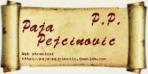 Paja Pejčinović vizit kartica